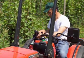 Sgravio contributivo per giovani Coltivatori Diretti e Imprenditori Agricoli