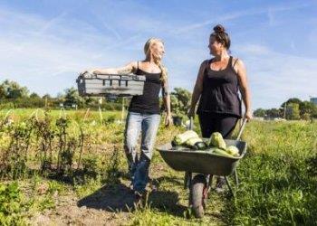 Al via un nuovo corso di formazione per giovani agricoltori e nuovi agricoltori da 150 ore organizzato dalla Regione