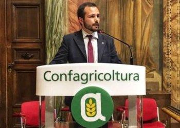 DDL imprenditoria agricola Under 40, Anga : segnale importante ma serviva più coraggio
