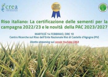 Riso Italiano: incontro annuale sulle certificazioni martedigrave; a Castello dAgogna (PV)
