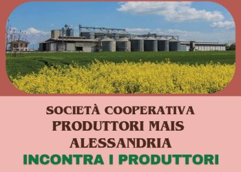 Incontro con la Produttori Mais Alessandria sulla filiera del grano tenero Carta del Mulino di Barilla