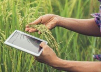 Fissati criteri e modalitagrave; di attuazione del Fondo per linnovazione in agricoltura