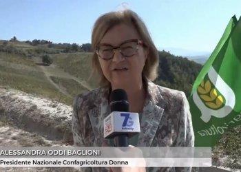 Donne che coltivano il futuro, il servizio di Telecity Gold