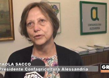 La neo presidente Paola Sacco parla del maltempo e delle donne nellimprenditoria agricola, il servizio di GRP Piemonte - visualizza il video
