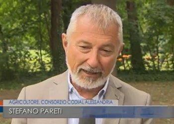 Danni causati dalla grandine - i servizi dei RAI 3 Piemonte - visualizza i video