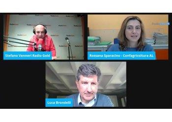 Intervista televisiva di Radio Gold Tv durante la trasmissione Pop-Al al presidente provinciale Luca Brondelli
