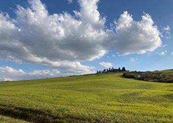 Istat. In calo le superfici cerealicole (-2,9%), ma previsioni in crescita per il 2021