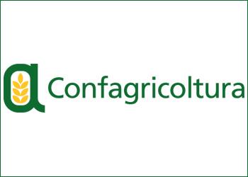 Dati Istat su Pil, Confagricoltura: i problemi vengono da lontano, prima del Covid