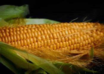 Grano ai massimi