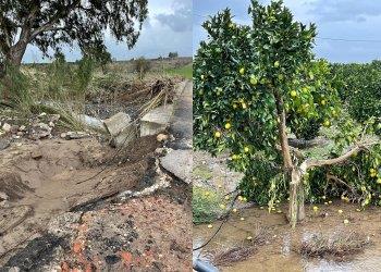 Uragano apollo, Confagricoltura: distrutti agrumeti, ortaggi e strutture