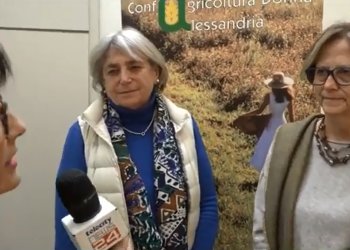 Torna la Campagna Clementine antiviolenza in favore di Me.dea, il servizio di Telecity