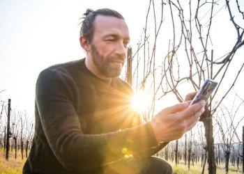 Misurare la qualitagrave; di un vigneto. Ecco lIndice Bigot: un metodo oggettivo con valori da zero a cento