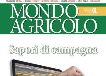 Leggi il nuovo numero di Mondo Agricolo - novembre 2021
