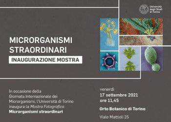 Unito: Inaugurazione della Mostra Microrganismi straordinari, venerdigrave; 17 settembre