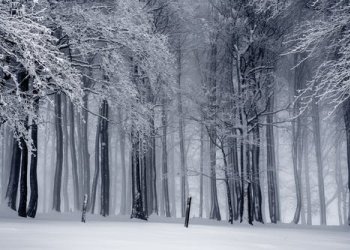 Nuove precipitazioni sui rilievi, temperature in netto calo