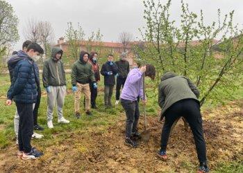 Domani la presentazione del progetto Nocciolo Life