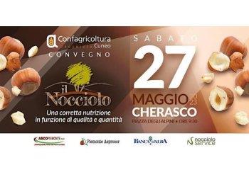 Il nocciolo: un convegno su nutrizione e qualitagrave;