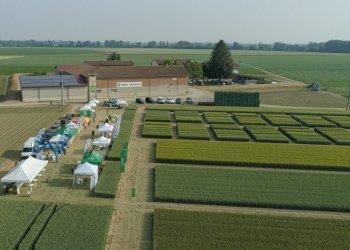 Open Day Frumento 27 Maggio