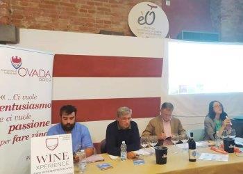 Presentati i dati del progetto quot;Increase Ovada DOCGquot;