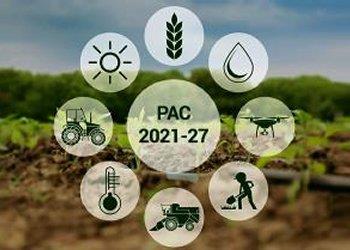 Discussioni sul Piano Strategico della PAC 2023-2027
