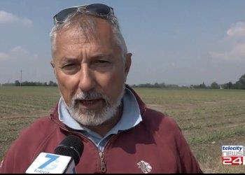 Codial, 50 anni insieme: un punto sul presente, uno sguardo al futuro, il servizio di Telecity Gold