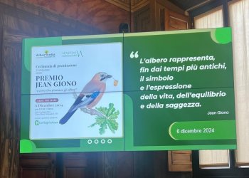 Assegnati in Confagricoltura i premi Jean Giono per la valorizzazione e gestione sostenibile di alberi e foreste