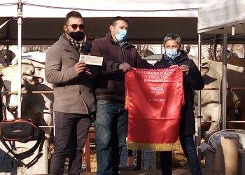 Lallevatore associato Ottonello vince il primo premio alle fiere zootecniche di Nizza e Moncalvo