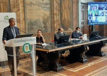 Premio nazionale per linnovazione in agricoltura: a nove imprese il riconoscimento di Confagricoltura