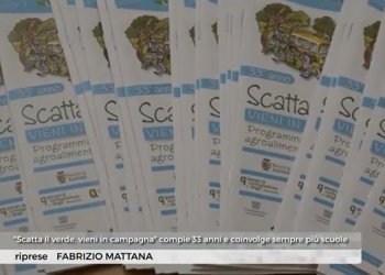 Scatta il Verde, vieni in campagna: il servizio di Telecity Gold