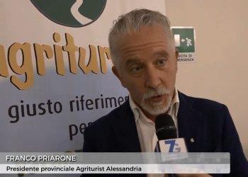 Scatta il Verde, vieni in campagna, il servizio di Telecity Gold
