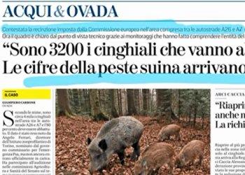 Peste Suina Africana: intervista al direttore Bagnasco e allallevatore associato Trinchieri, il servizio del TG3 Piemonte - visualizza il video