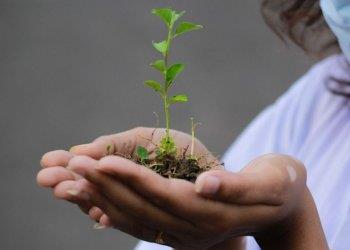 NGT, bene il quot;sigrave;quot; al parlamento Europeo. Accelerare per arrivare allintesa finale entro fine legislatura