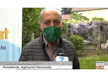 Morandi e Priarone sulla campagna di Agriturist Alessandria quot;Riparti naturalmente, riparti con noiquot;, il servizio di Telecity 7Gold - visualizza il video