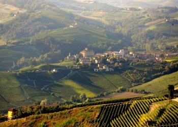 Lo sviluppo rurale del Piemonte parte con i primi bandi
