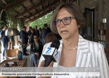 Confagricoltura Alessandria verso la sostenibilita e la digitalizzazione, il servizio di Telecity 7 Gold