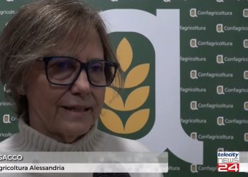 Assemblee di zona, il servizio di Telecity