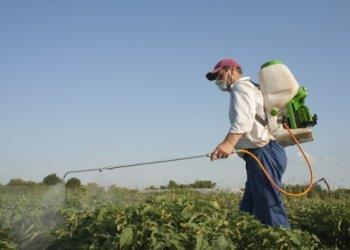 Bando Isi e sicurezza del lavoro: in arrivo alcuni aiuti