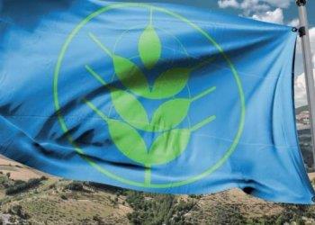 Spighe Verdi: avviata lottava edizione del programma
