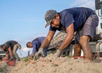 Lavoratori extracomunitari stagionali e non stagionali: pubblicato il Decreto