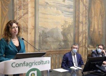 Il ministro per le disabilitagrave; Erika Stefani ad Alessandria