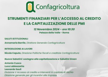 Strumenti finanziari per laccesso al credito: convegno a  Palazzo della Valle il 12 novembre alle 10.30