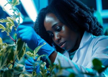 Tea, bene il voto all'unanimita' in IX Commissione Senato: accoglie le richieste di Confagricoltura a favore della ricerca e la competivita' del settore primario