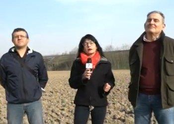 Attesa la pioggia: quanto costeragrave; la siccitagrave; agli agricoltori e ai consumatori?- il servizio di Telecity7Gold - visualizza il video