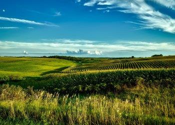 Legge di Bilancio 2023: agevolazioni fiscali per lacquisto di fondi rustici