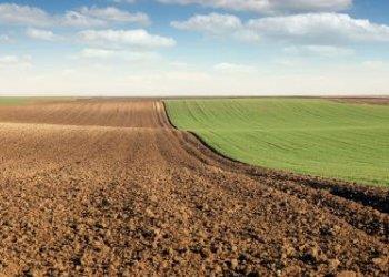 Terreni agricoli: affitti in aumento