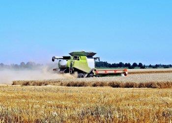 Listino prezzi indicativo per le lavorazioni meccanico agricole - Giugno 2024