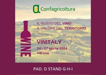 Vinitaly 2024, Anga: l'innovazione in vigna è "legante" e sostenibile