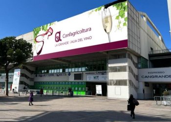 Vinitaly: nello spazio di Confagricoltura incontri, approfondimenti e degustazioni. Dai dazi ai trend di consumo, passando per le eccellenze del made in Italy a tavola