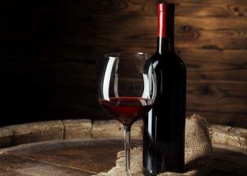 Il vino contribuisce ad uno stile di vita sano  il parere degli scienziati a Toledo