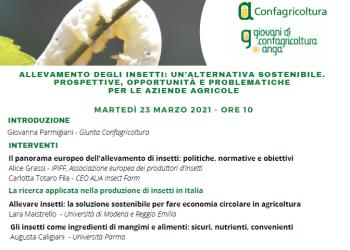 Insetti, il nuovo business. Webinar di Confagricoltura e Anga il 23 marzo